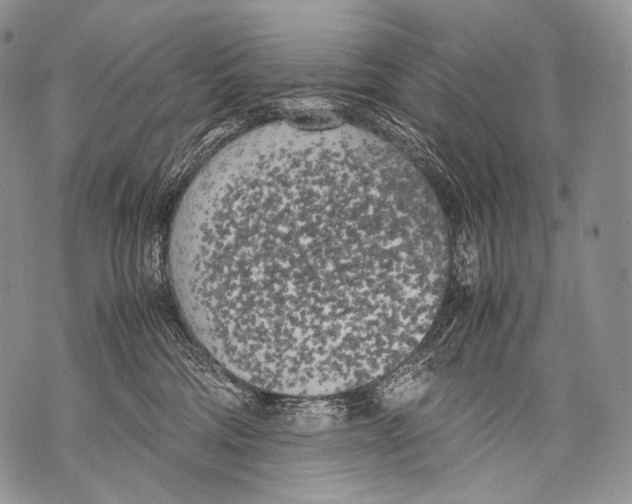 X0000071840330200607290114