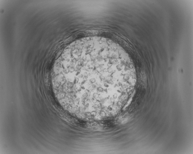 X0000071840331200607290114