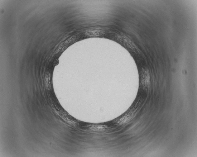 X0000071840332200607290114