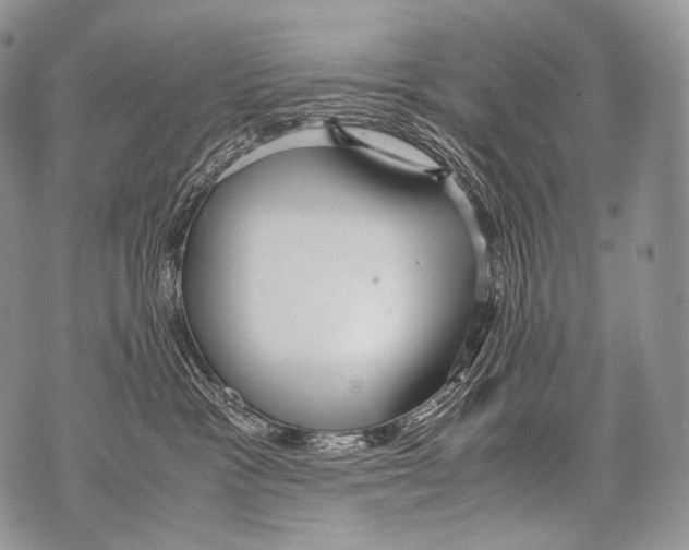 X0000071840333200607290114