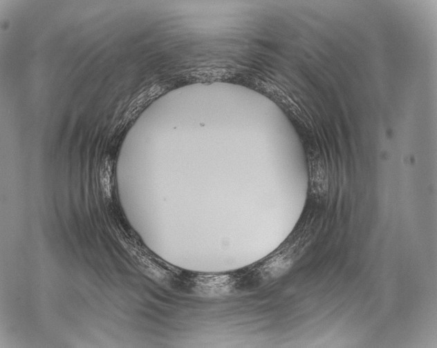 X0000071840334200607290114