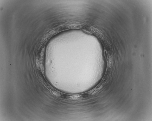 X0000071840335200607290114