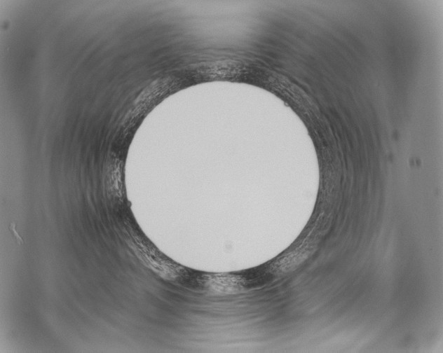 X0000071840336200607290114