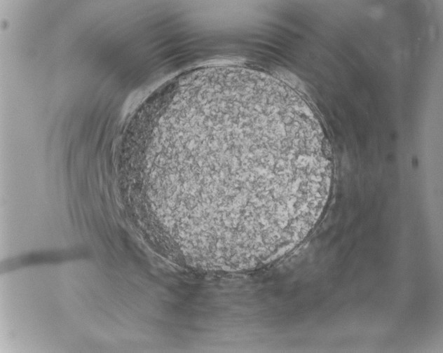 X0000071840337200607290113