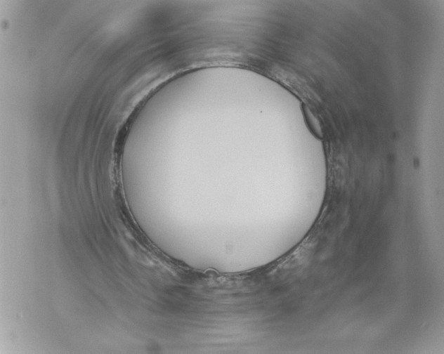 X0000071840338200607290113