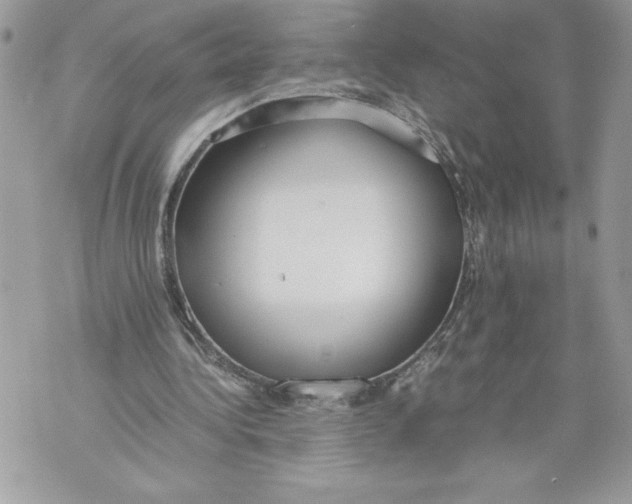 X0000071840340200607290113