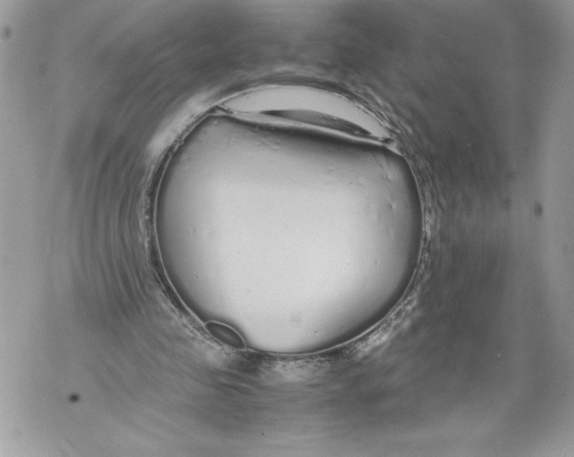 X0000071840341200607290113