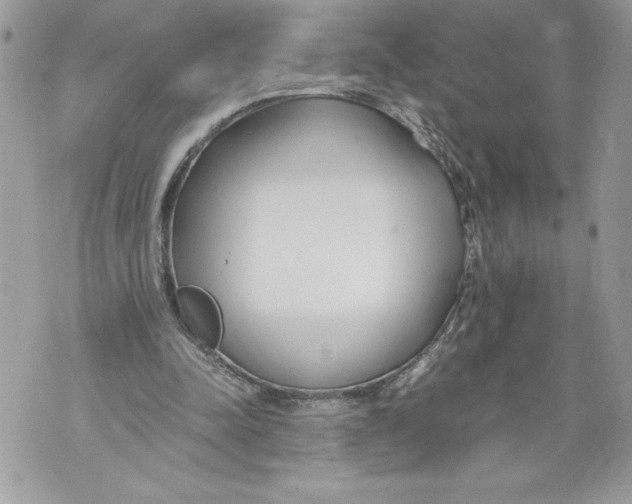 X0000071840342200607290113