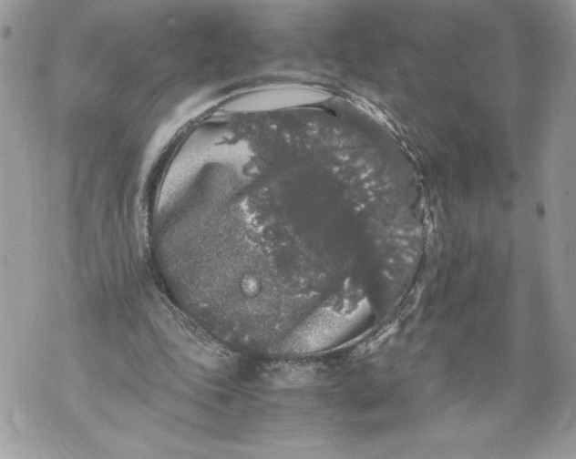 X0000071840343200607290113