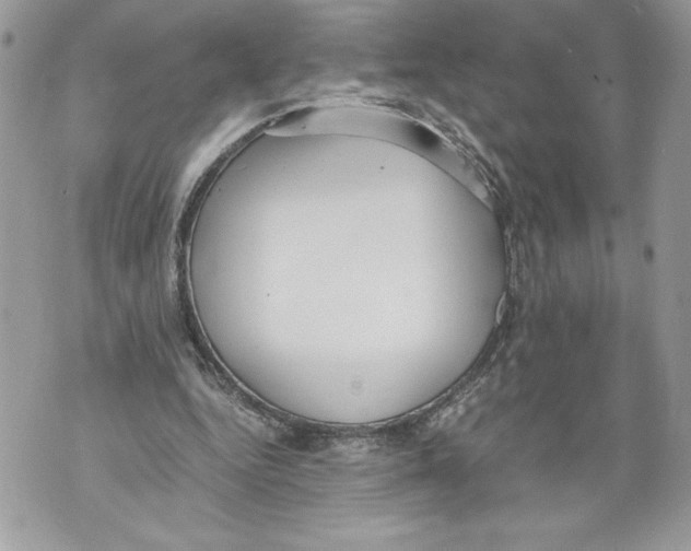 X0000071840344200607290113