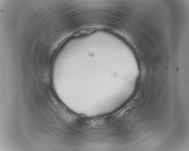 X0000071840345200607290113