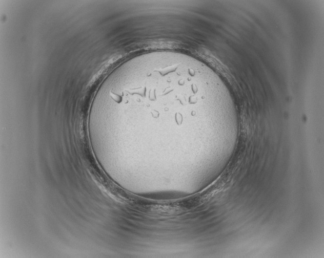 X0000071840347200607290113