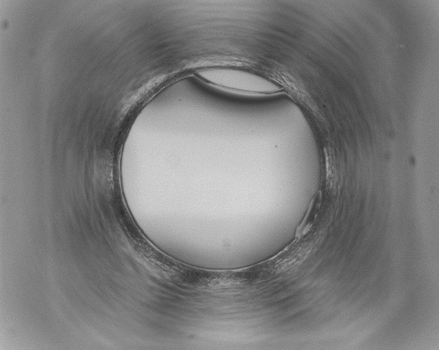 X0000071840348200607290113