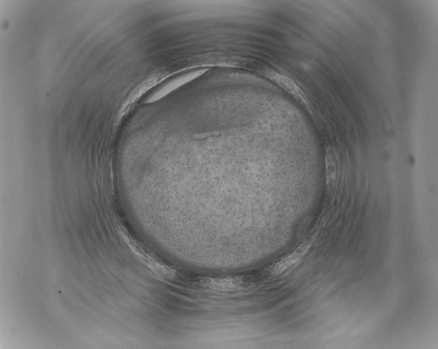 X0000071840349200607290113