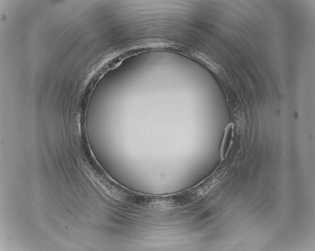 X0000071840350200607290113