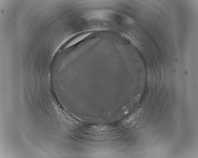 X0000071840351200607290113