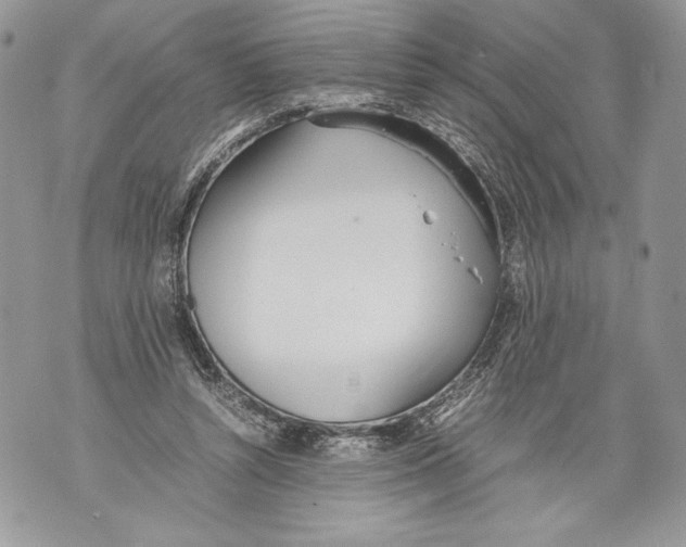 X0000071840352200607290113