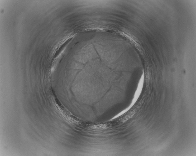 X0000071840353200607290113