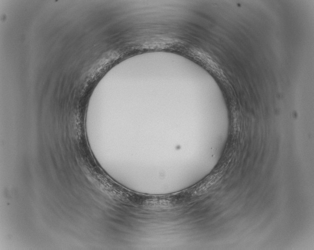 X0000071840354200607290113