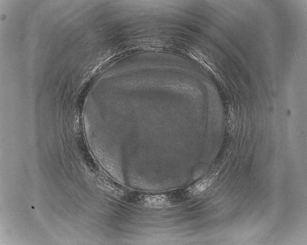 X0000071840355200607290113