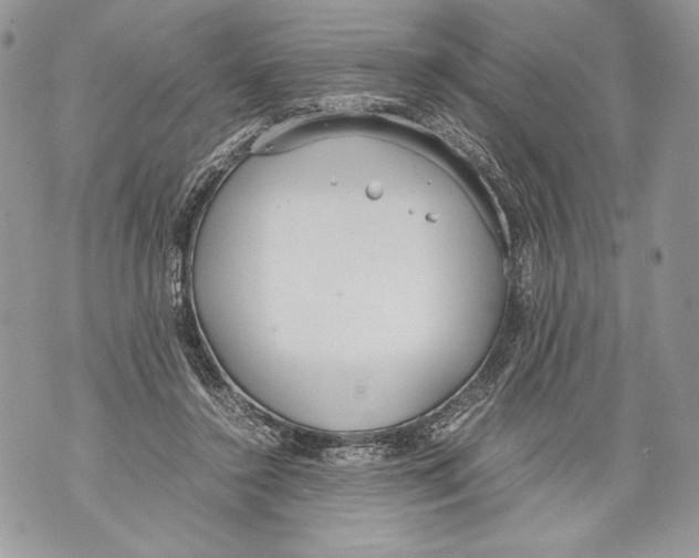 X0000071840356200607290113