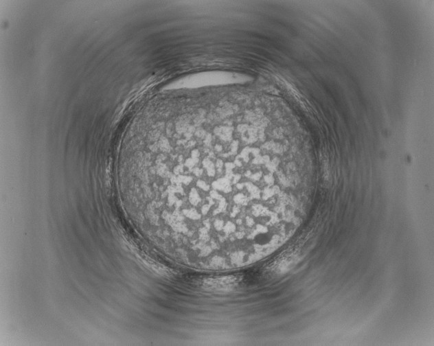 X0000071840357200607290113