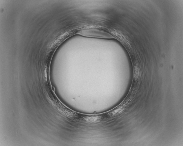 X0000071840358200607290113