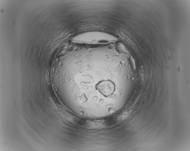 X0000071840359200607290113