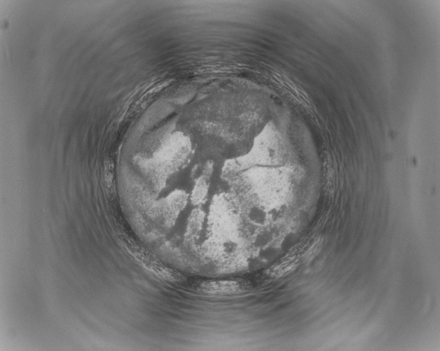 X0000071840361200607290113