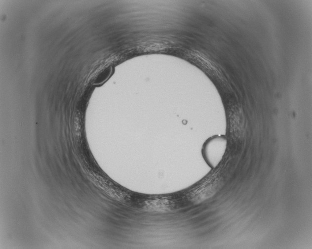 X0000071840362200607290113