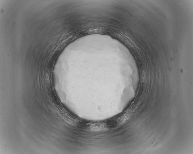 X0000071840363200607290113