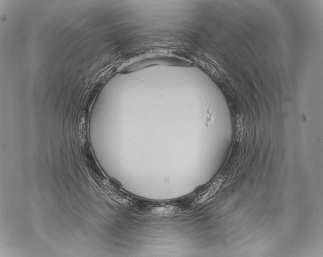 X0000071840364200607290113