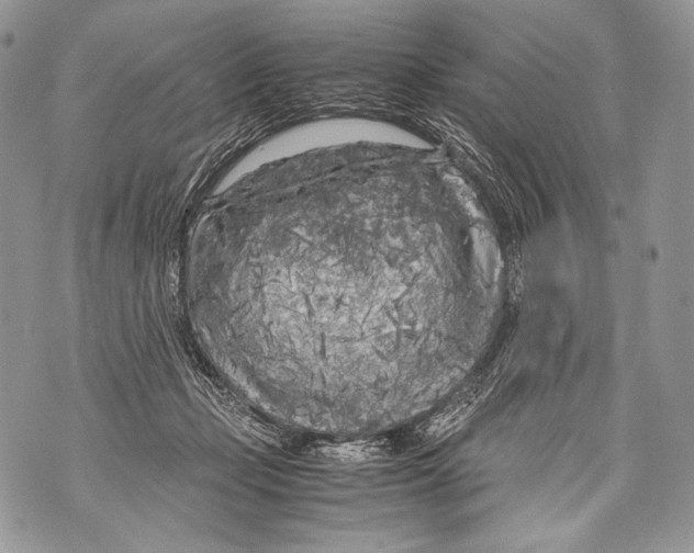 X0000071840365200607290113