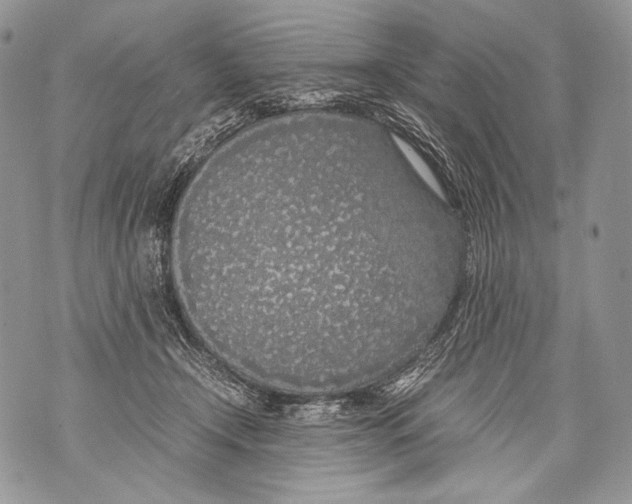 X0000071840366200607290113