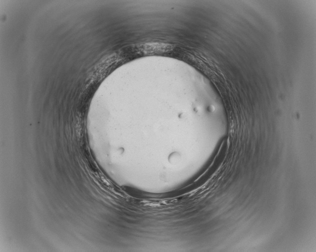 X0000071840367200607290113