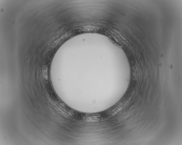 X0000071840368200607290113