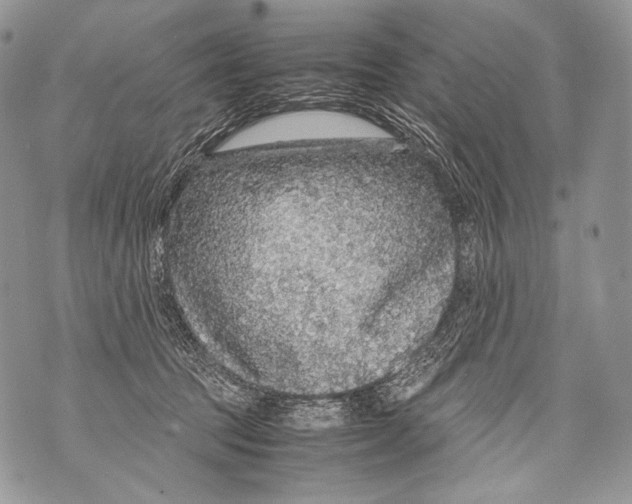 X0000071840369200607290113