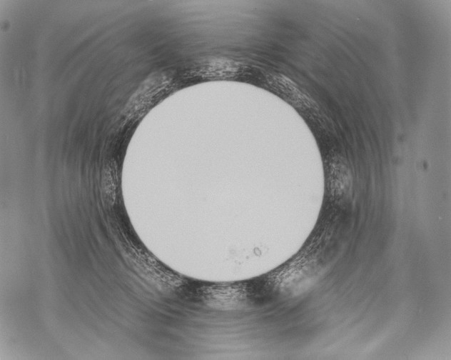 X0000071840370200607290113