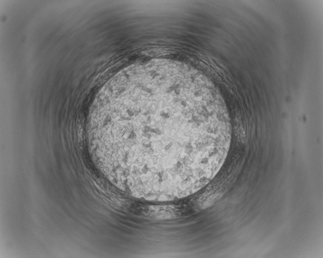 X0000071840371200607290113