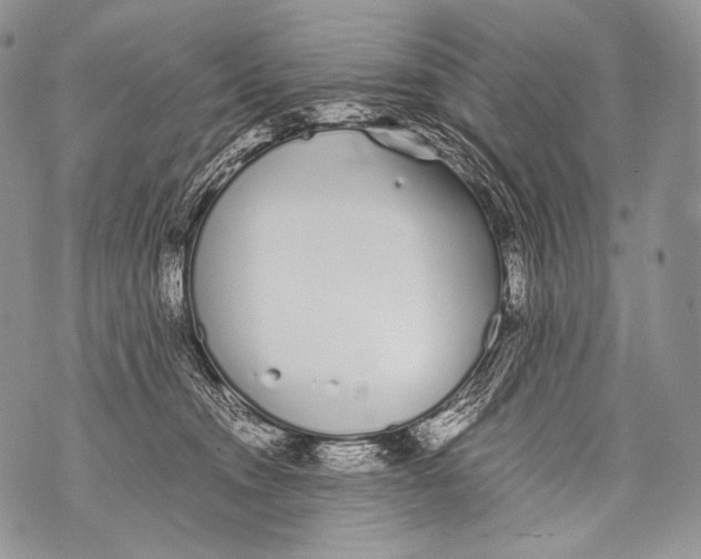 X0000071840372200607290113