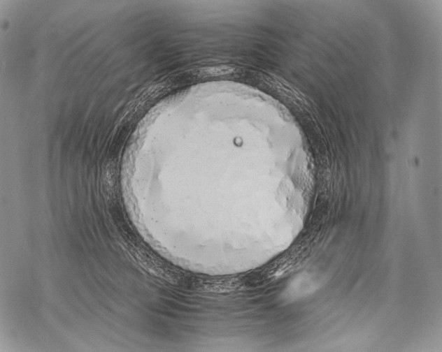 X0000071840373200607290113