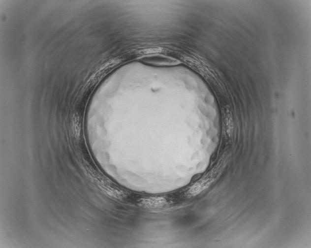 X0000071840374200607290113