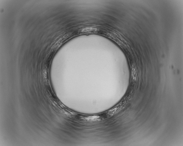 X0000071840375200607290113