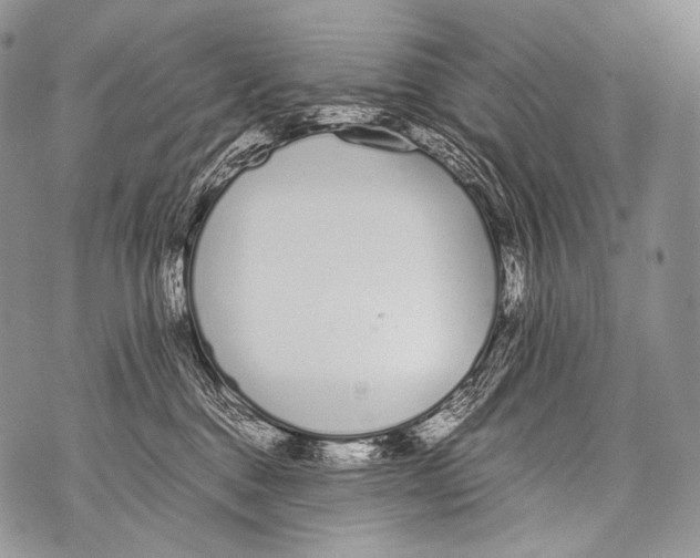 X0000071840376200607290113