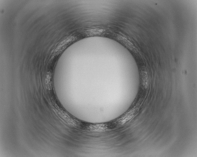 X0000071840378200607290113