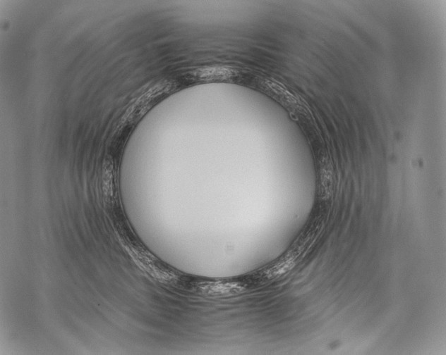 X0000071840379200607290113