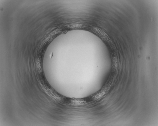 X0000071840380200607290113