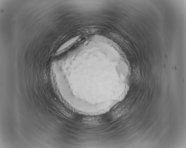 X0000071840381200607290113