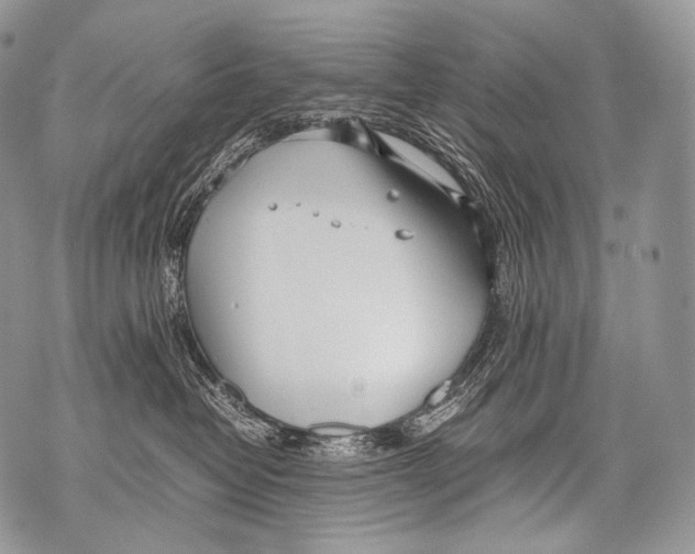 X0000071840382200607290114