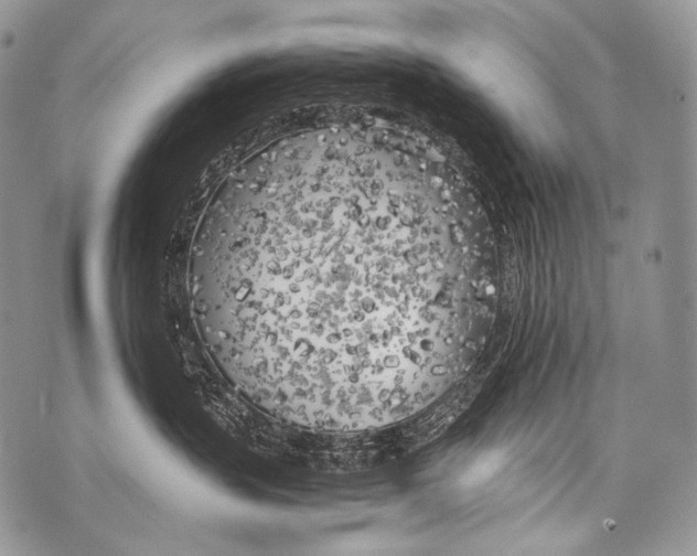 X0000071840383200607290114